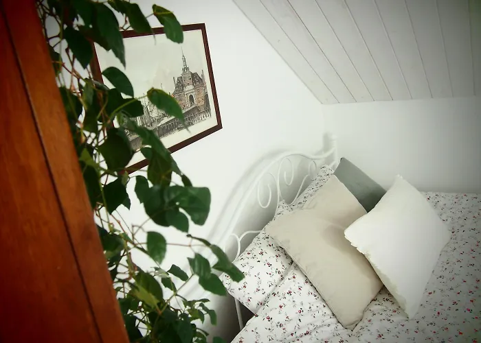 Séjour à la ferme Alpakarium, Hodowla Alpak &