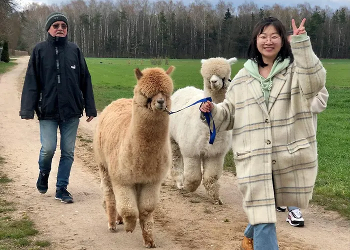 Alpakarium, Hodowla Alpak & *