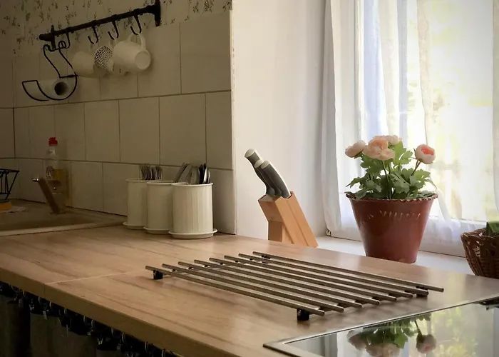 Alpakarium, Hodowla Alpak & * Stara Kornica