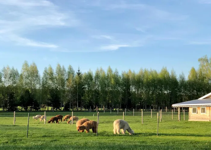 Séjour à la ferme Alpakarium, Hodowla Alpak &
