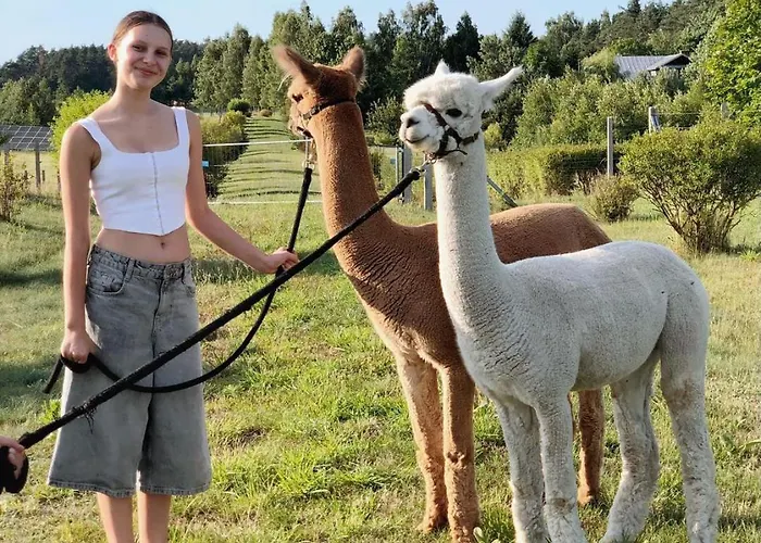 Alpakarium, Hodowla Alpak & Séjour à la ferme